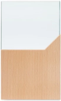 Klaasist auhind Zeal