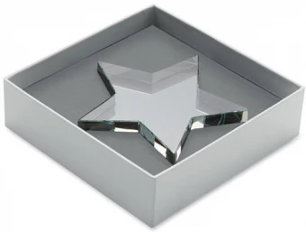 Klaasist tähekujuline auhind Starward