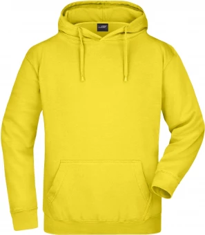 Klassikaline kapuutsiga pusa