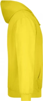 Klassikaline kapuutsiga pusa