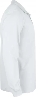Põhiline Pikavarrukaline Polo, Junior