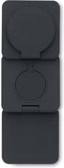 Kokkupandav laadija Netica