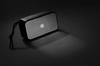 Kõlar Swiss Peak RCS 10W