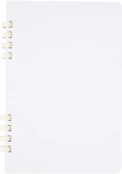 Kõvakaaneline spiraalmärkmik Fil A5