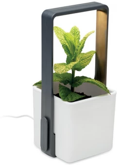 LED-valgustusega siseaiakomplekt Lushlet