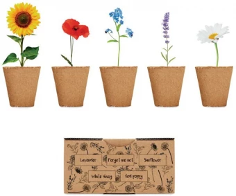 Lillede kasvatamise komplekt FLOWERS