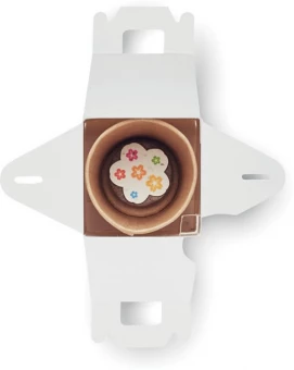 Lillede kasvatamise komplekt Fullhouse