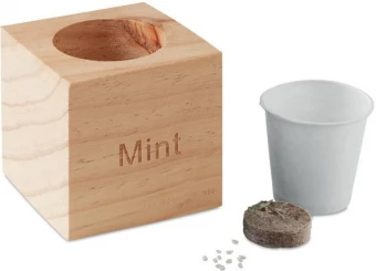 Lillepott Menta