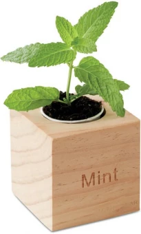 Lillepott Menta