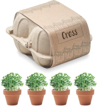 Lilleseemned Cress