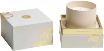 Lõhnaküünal Wellmark