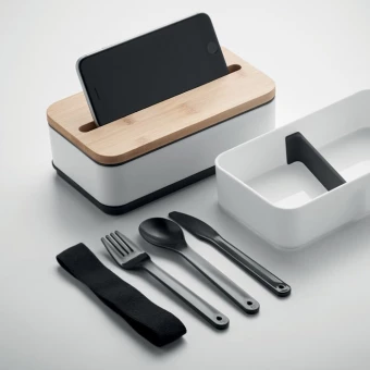 Lõunasöögikarp Wint