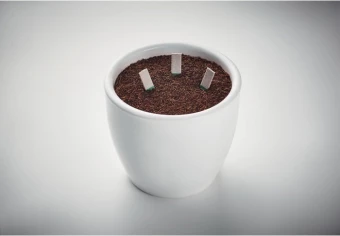 Maitsetaimede kasvatamise komplekt Leyti