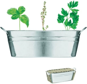 Maitsetaimede seemned koos lillepotiga MIX SEEDS