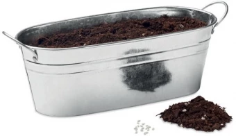 Maitsetaimede seemned koos lillepotiga MIX SEEDS