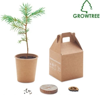 Männipuu kasvatamise komplekt