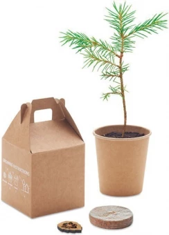 Männipuu kasvatamise komplekt