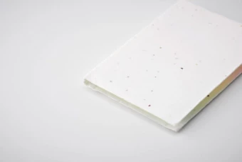 Märkmepaberid VISON SEED