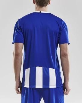 Meeste spordisärk Progress Stripe