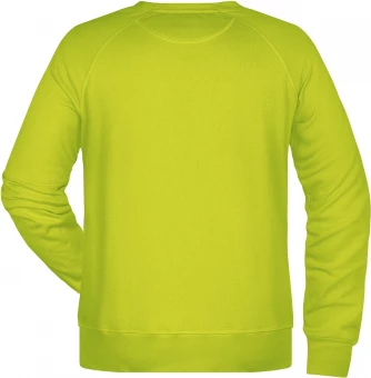 Men's classic sweatshirt with raglan sleeves