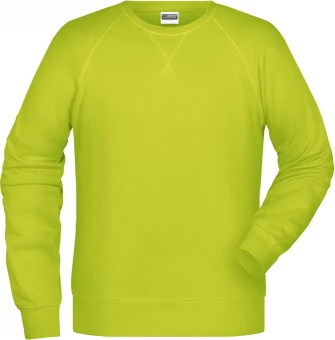 Men's classic sweatshirt with raglan sleeves
