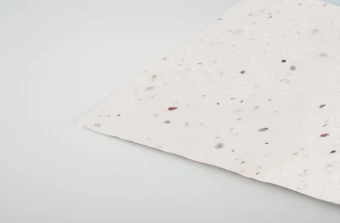 Metslillede seemnetega visiitkaart Asida