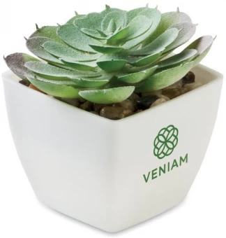 Mini kunsttaim potis Artieche