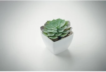 Mini kunsttaim potis Artieche