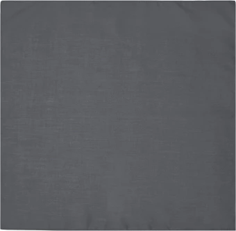 Multi-functional accessory