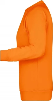 Naiste klassikaline dressipluus