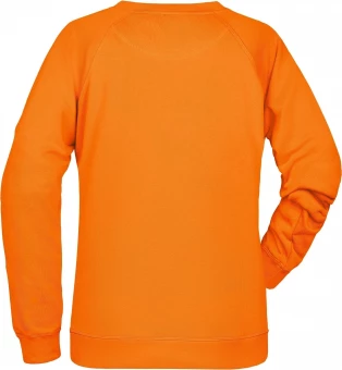 Naiste klassikaline dressipluus