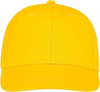 Ares 6 panel cap