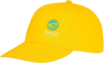 Ares 6 panel cap