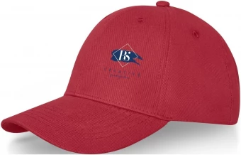 Davis-lippalakki, 6-paneelinen