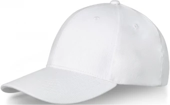 Davis-lippalakki, 6-paneelinen