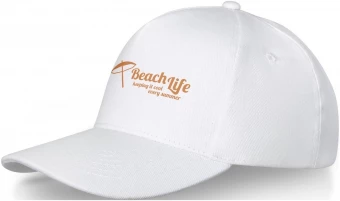 Doyle-lippalakki, 5-paneelinen