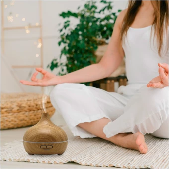 Õhuniisutaja Prixton Hidra