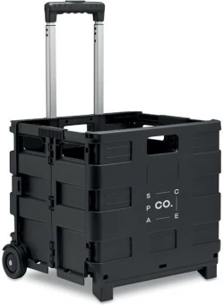 Ostukorv Carro