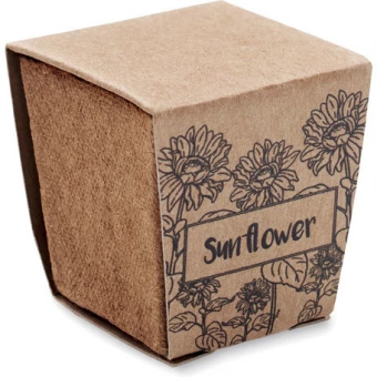 Päevalille komplekt Sunflower Kit
