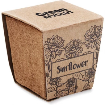 Päevalille komplekt Sunflower Kit