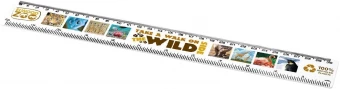 Refari 30 cm recycled plastic ruler