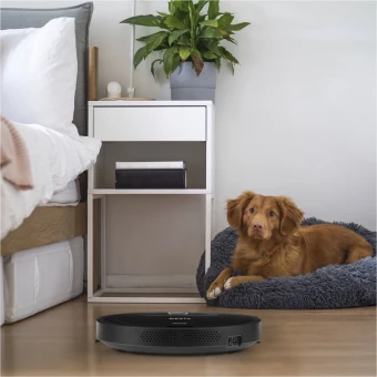 Prixton-robottipölynimuri