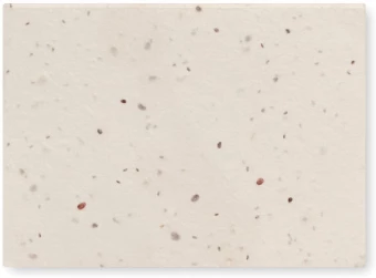 Seemnetega märkmepaber