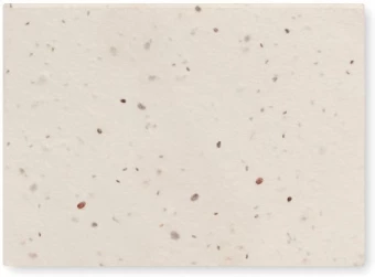 Seemnetega märkmepaber