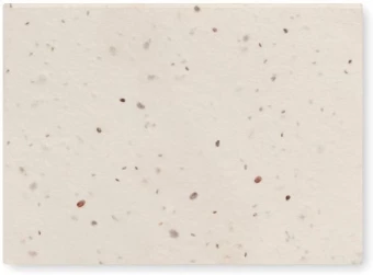 Seemnetega märkmepaber