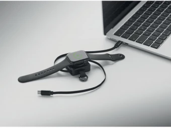 Sissetõmmatav 100W USB-C kaabel Skilful