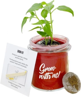Kasvipaketti lasipurkissa