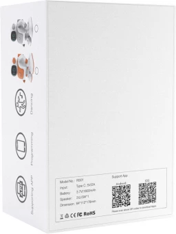 Tantsiv kõlar Robert