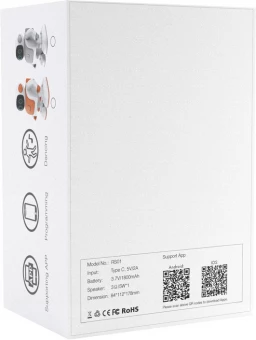 Tantsiv kõlar Robert