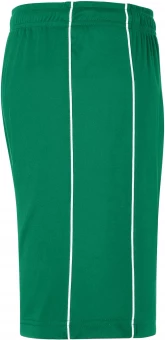 Tavalised voodrita jalgpallipüksid / meeskonnamängupüksid